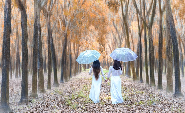 G1954433876867d05a4f671e6191384892b75116252bdf4b91a547aaa72453a9857db9ac50ebf877cacb3870345dd76d98de0ac3c0b17f0529259feecc16649e9 640